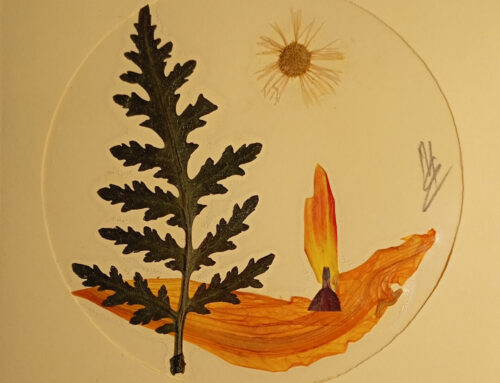 Áldott karácsonyt és boldog új évet!